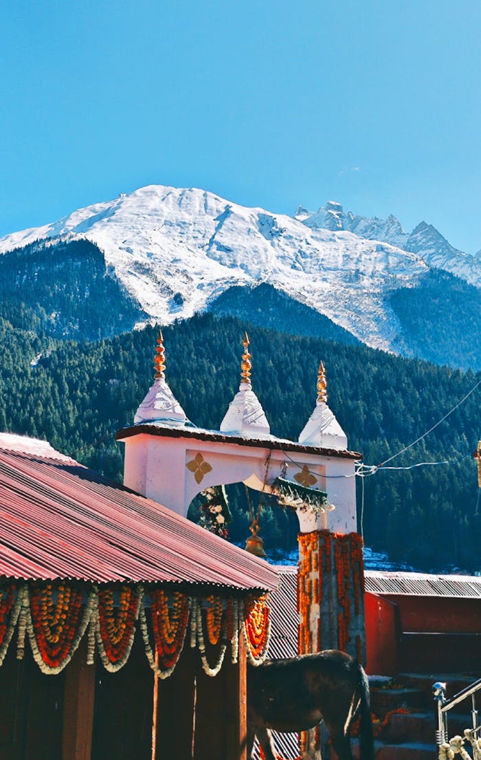 pexels photo 32750122 2.jpeg